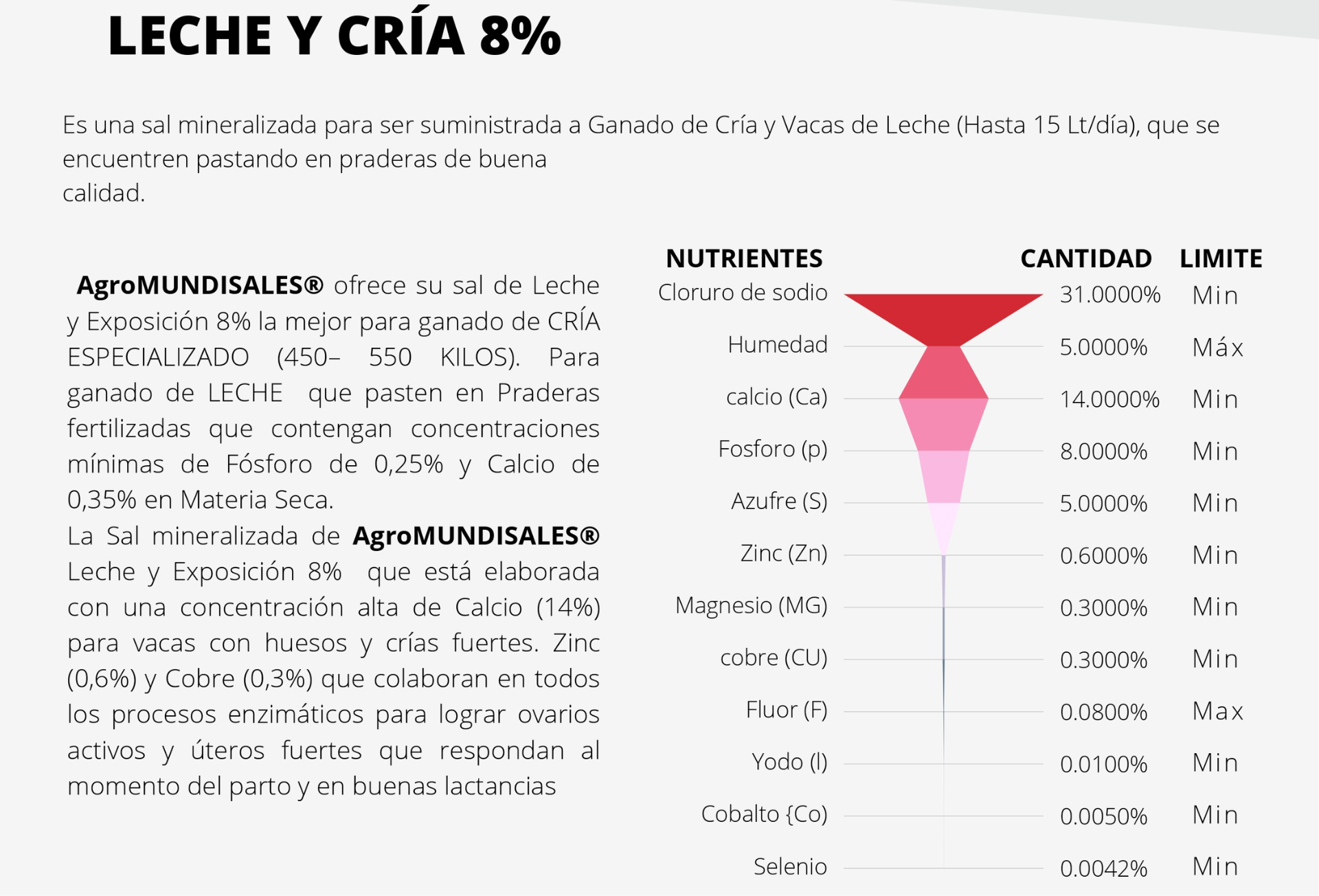 Sales mineralizadas